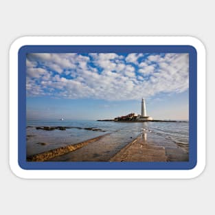 Spring Sunshine at St Marys Island Sticker